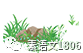 如何制定适合青少年的篮球轮换训练计划_1
